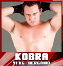 kobra