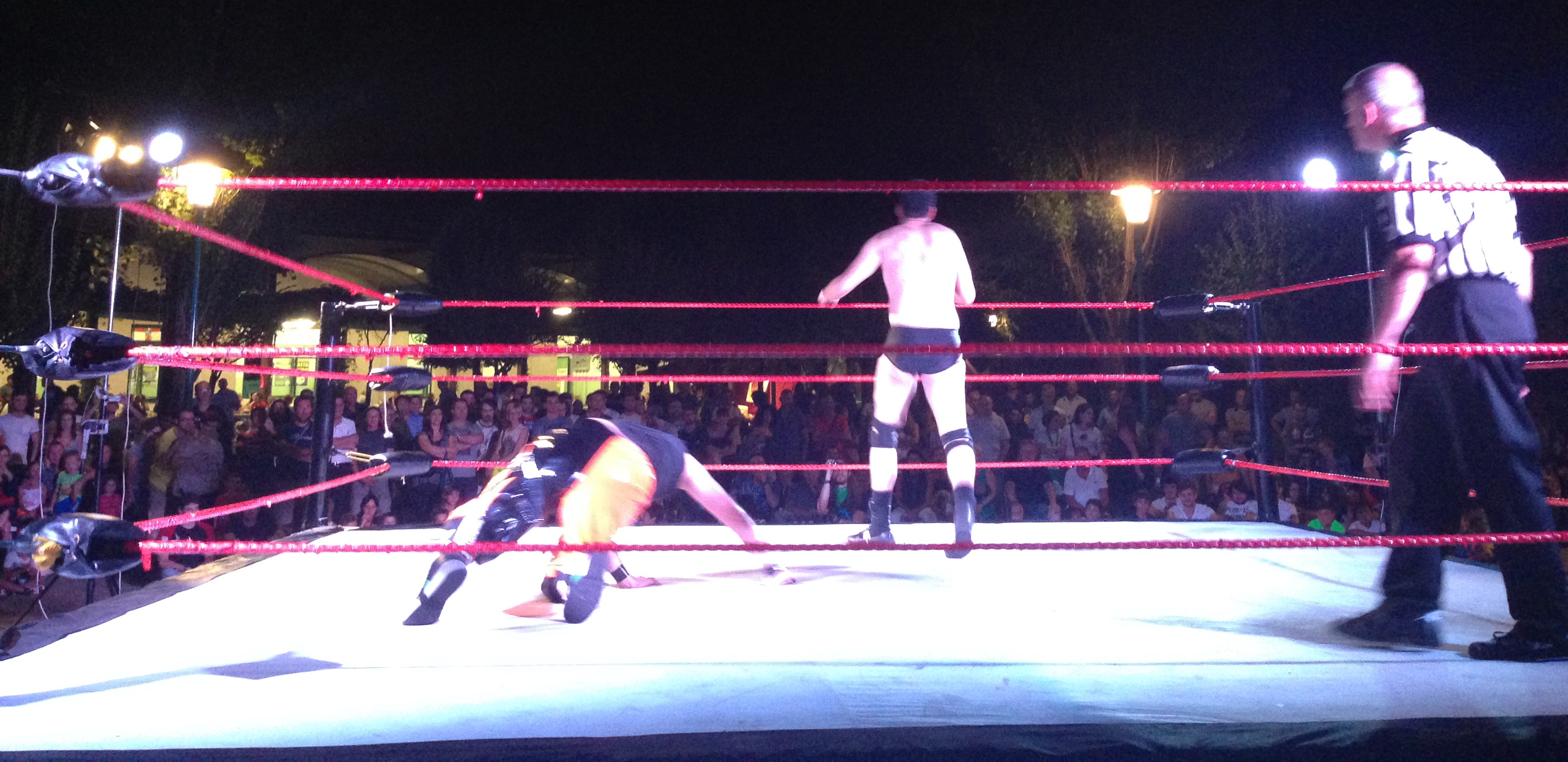 Successo d’Estate! I Risultati dei 2 giorni di ICW Summertime! Successo d’Estate! I Risultati dei 2 giorni di ICW Summertime!